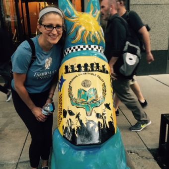 Hand In Paw With PAWS Chicago Chapter For The 2016 Year